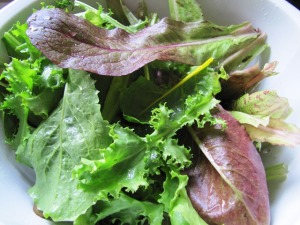 Mixed green lettuces